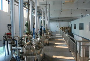 華康生物技術開發(fā)圖冊 創(chuàng)新引領生物科技發(fā)展